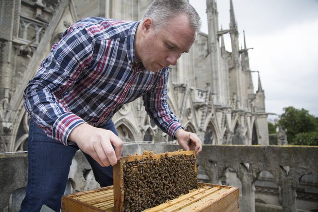 Nicolas Géant auf den Dächern Notre Dame's, Paris, bei der Durchsicht seiner Völker